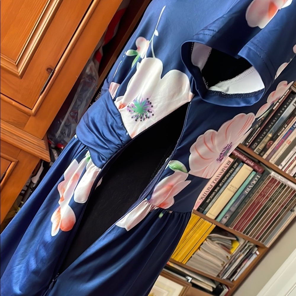 Blue and Pink V-Neck Flutter Sleeve Maxi Dress - Picture 10 of 14